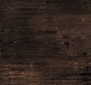 4283 - Versace Ceramics Eterno Brown Matt