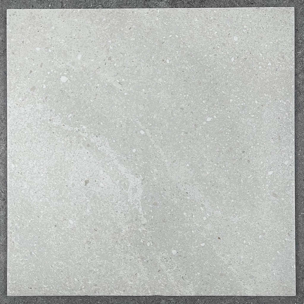 Valencia Light Grey In/Out Non-Rectified Porcelain Tile 4987