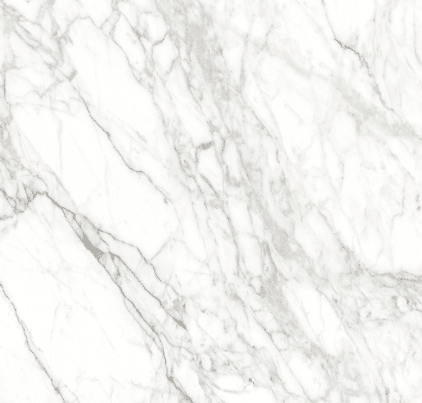 Web Carrara Marble Look Polished Rectified Porcelain Tile 4721