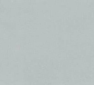 4841 - Florence Mint Gloss