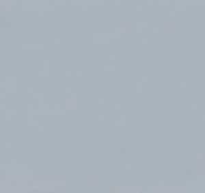 4845 - Florence Fossil Gloss