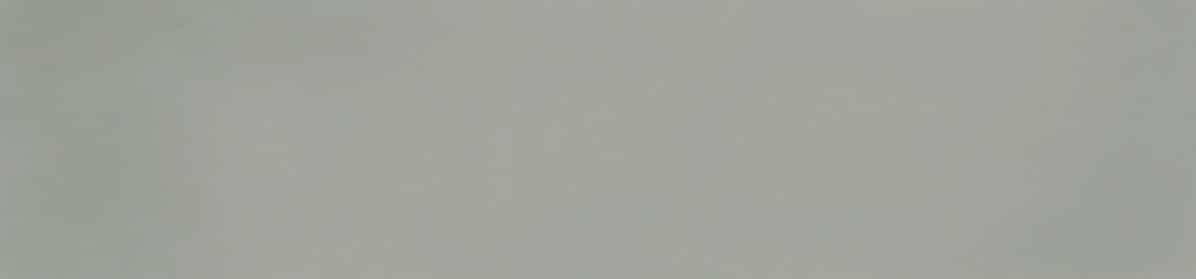 Florence Cement Gloss Spanish Irregular Edge Porcelain Subway Tile 4846