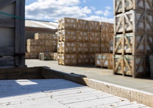 110 Tfo Photoshoot (110 Of 134) 2