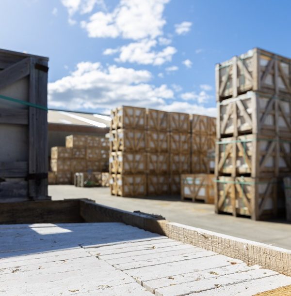 110 Tfo Photoshoot (110 Of 134)